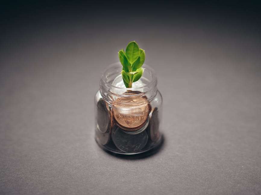 sustainable growth strategies